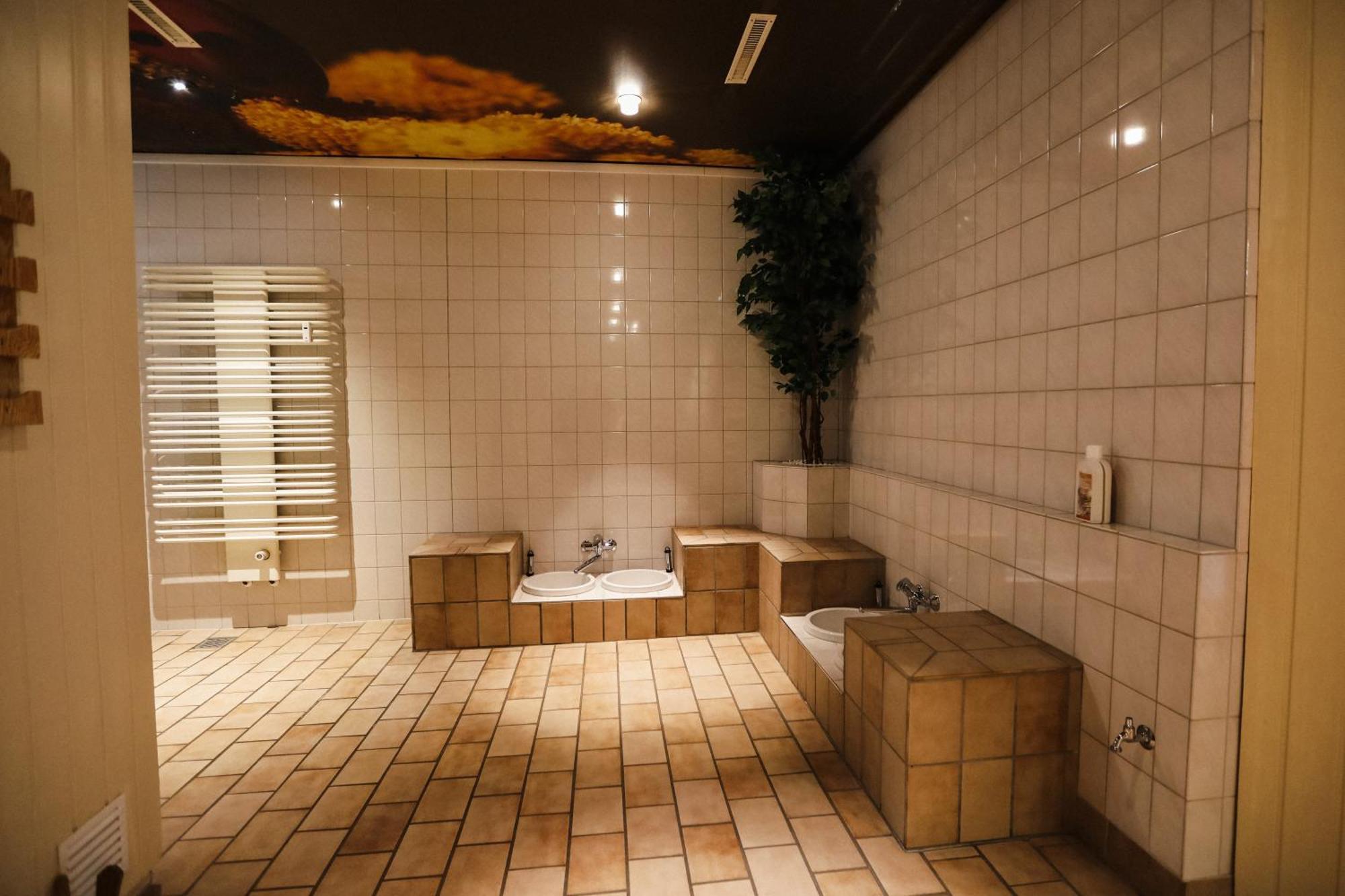 Apartment 540, Oberharz, Mit Schwimmbad Und Sauna Braunlage Εξωτερικό φωτογραφία
